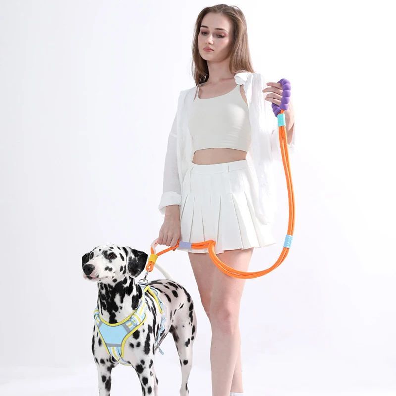 Comfortable Dog Traction Leash – Your Perfect Companion for Safe and Secure Walks