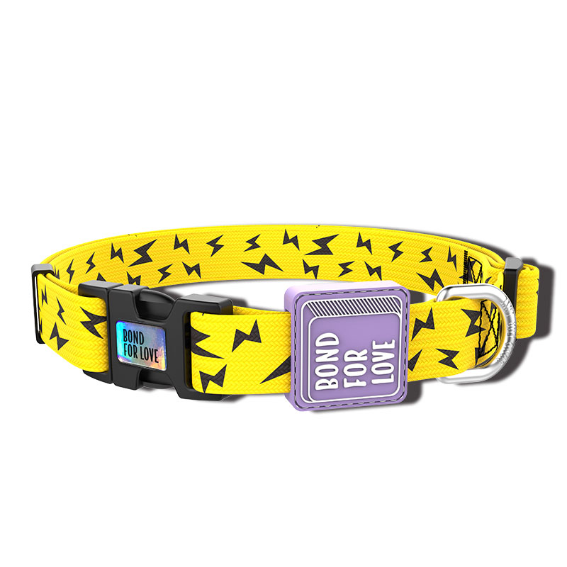 Fashionable Dog Collar: Elevate Your Pet's Style with Comfort