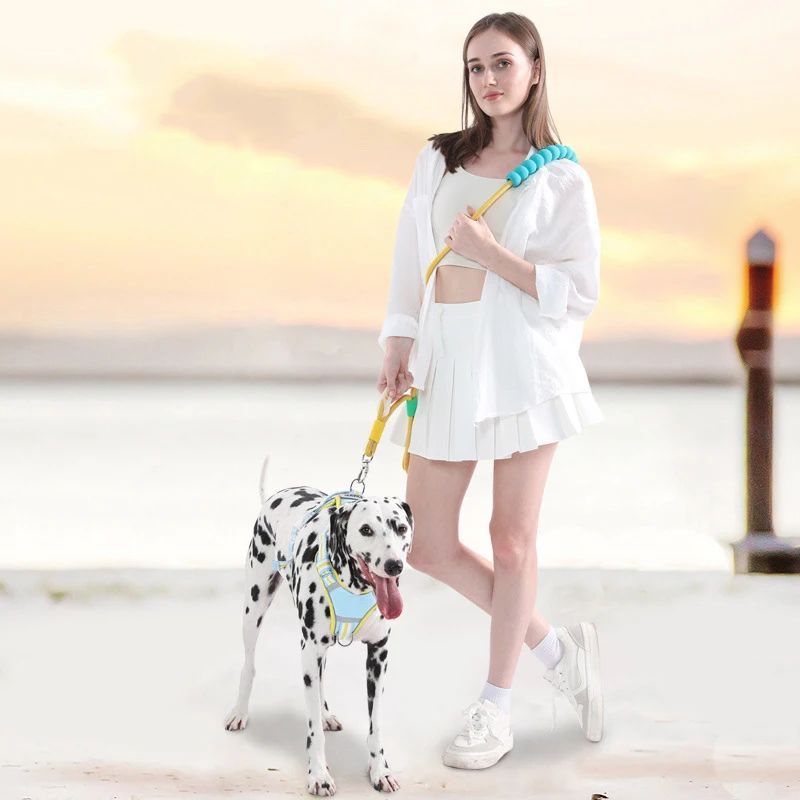 Comfortable Dog Traction Leash – Your Perfect Companion for Safe and Secure Walks
