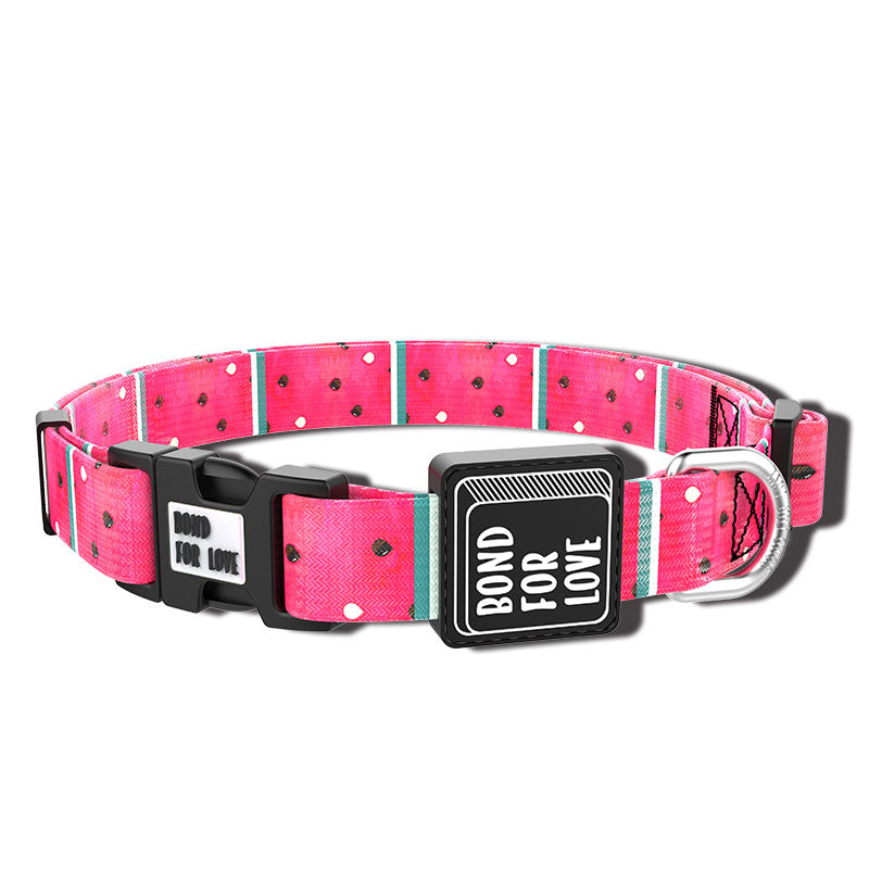 Fashionable Dog Collar: Elevate Your Pet's Style with Comfort