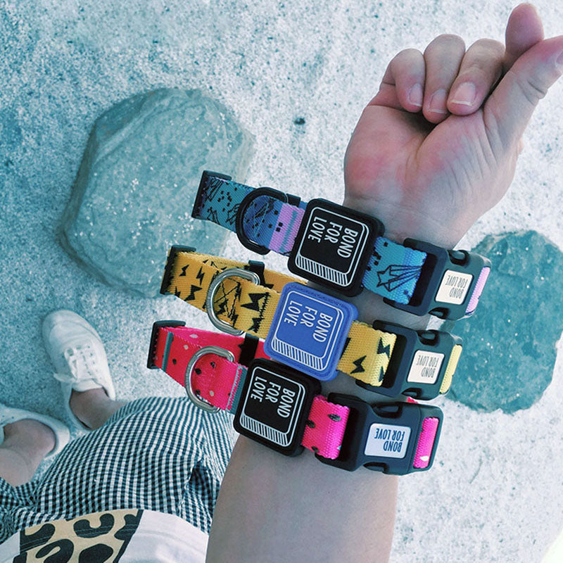 Fashionable Dog Collar: Elevate Your Pet's Style with Comfort